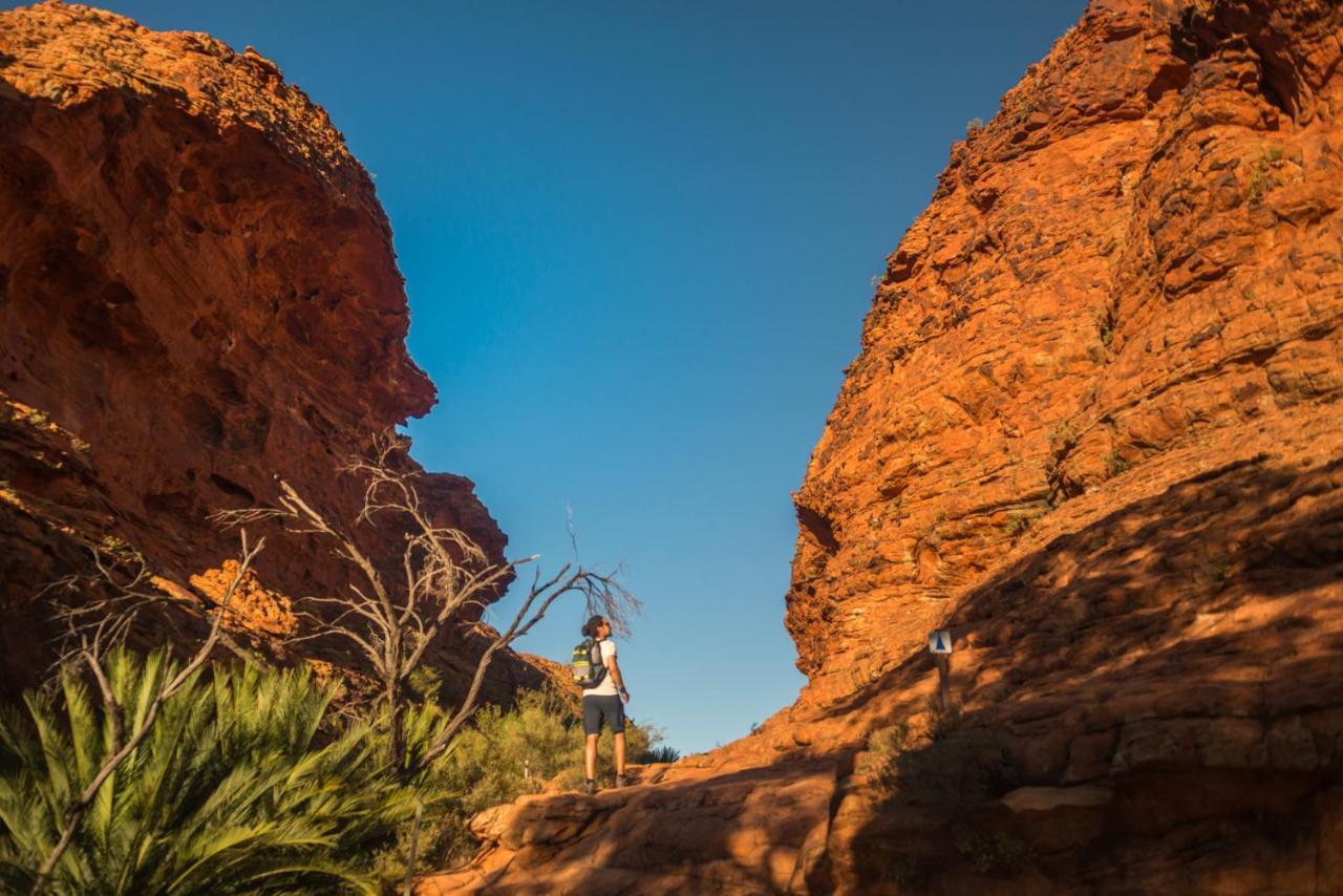 Discovery Resorts - Kings Canyon Εξωτερικό φωτογραφία